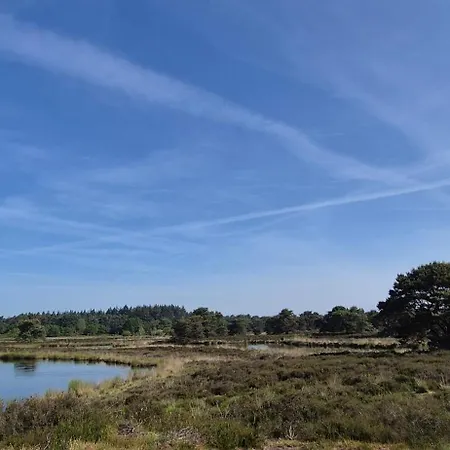 Solo Retreat Maasduinen Chalet Belfeld