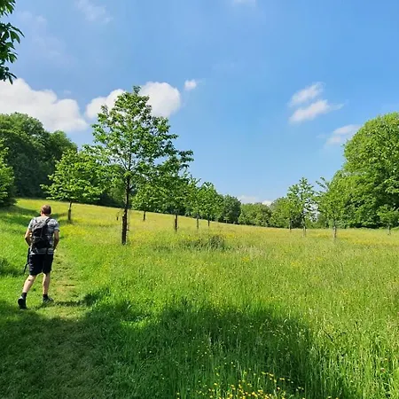 Solo Retreat Maasduinen Belfeld